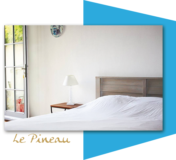 Le pineau, studio 4 personnes