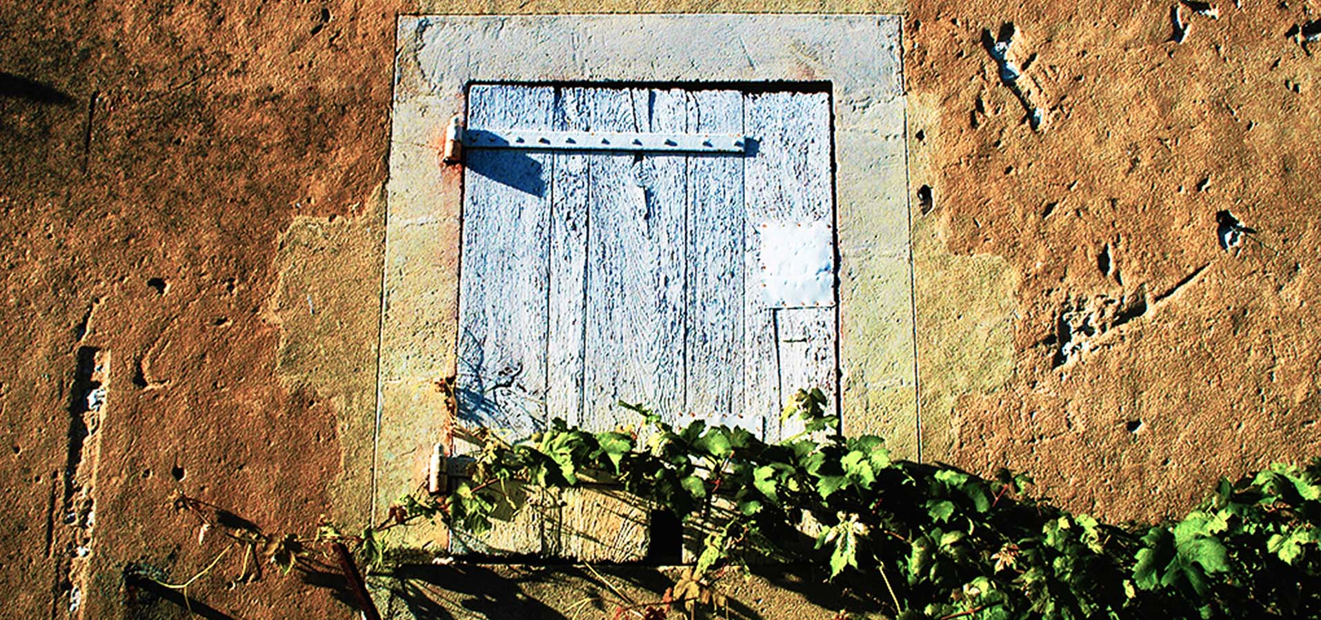 Nos cottages près de Saint Jean d'Angely