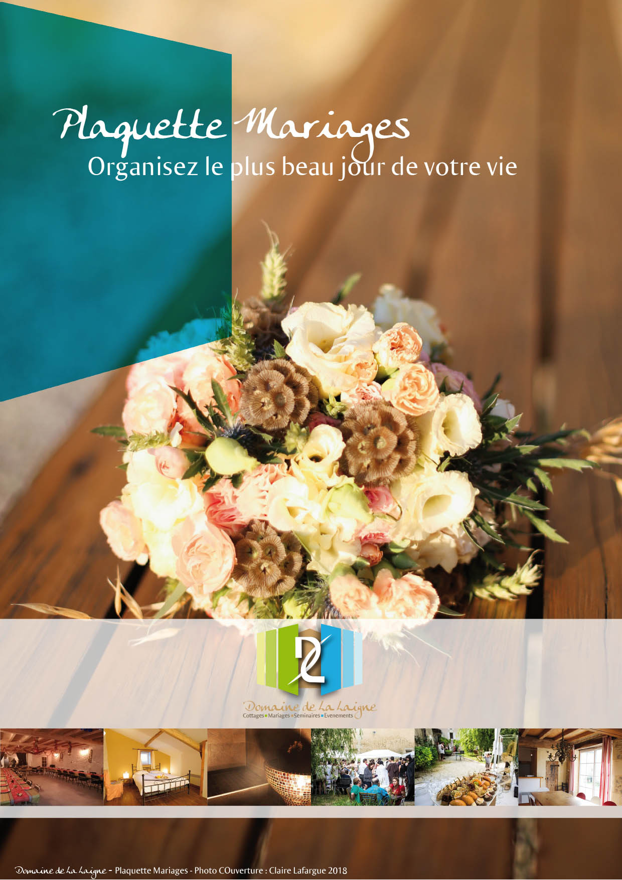 Piscine pour vos vacances d\été au Domaine de la Laigne